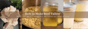 howtoMakeBeefTallow_banner
